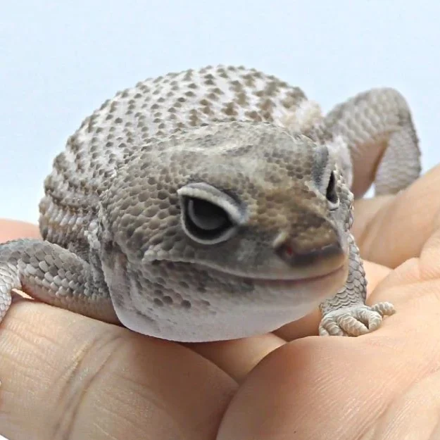 うずき